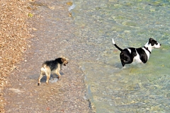 Ferienwohnung Villa Anica Rijeka - Hundestrand auf Pećine